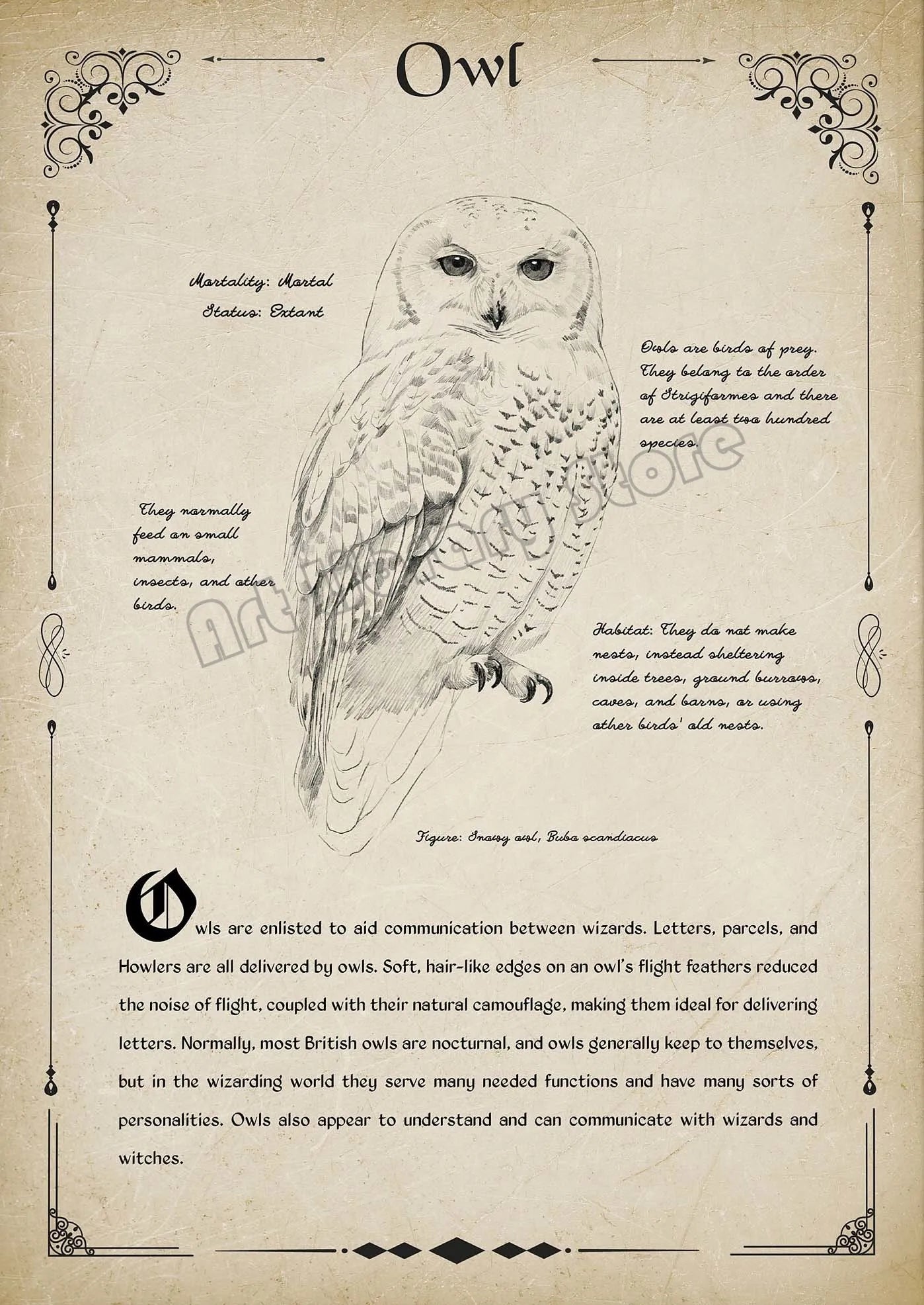 Retro Wizard World Magical Creatures Poster - Image 14