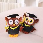 Graduation Gift Doctor Owl & Bear Plush Toy
